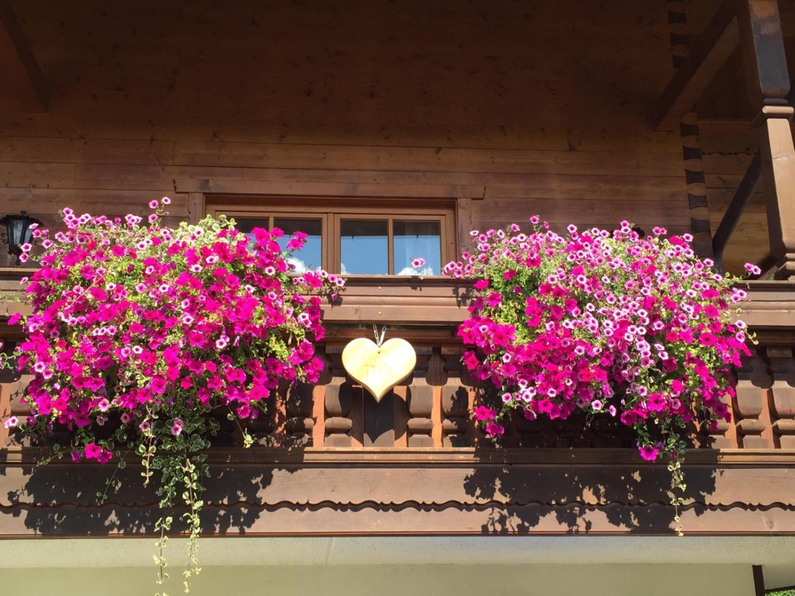 Haus Am Wiesbach Reit im Winkl Extérieur photo